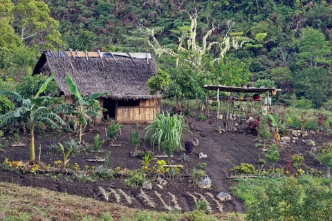Subsistence farmhouse and garden