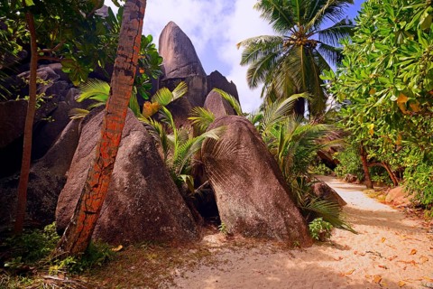 Palm trees and granite rocks on the dream beach Source d'Argent