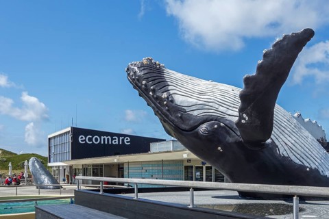 Sculpture of a humpback whale