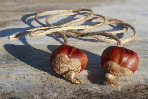 Horse Chestnut