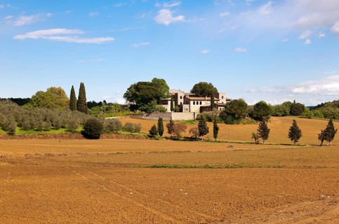 Manor house with olive trees and cypresses