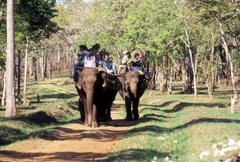 Tourists enjoy elephant ride in Nagarahole Tiger Reserve