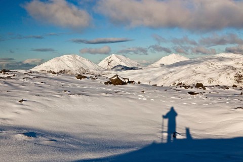 Shadows of man and dog looking at snow-capped mountain peaks