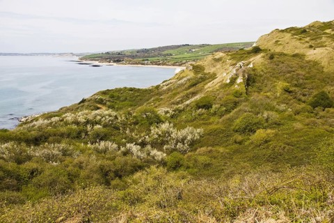 View of coastline