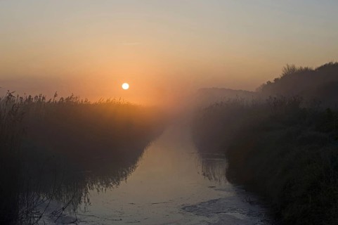 Dyke at the edge of the reedbed at dawn
