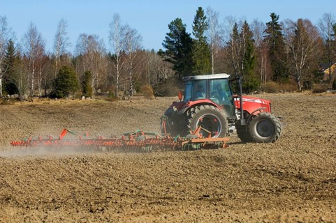 Massey Ferguson tractor pulling harrows