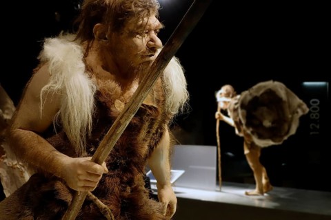 Neanderthal hunter in the Gallo-Romeins Museum