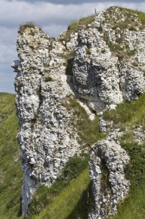 Chalk outcrops