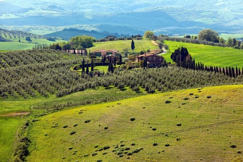 Tuscany with mediterranean cypress