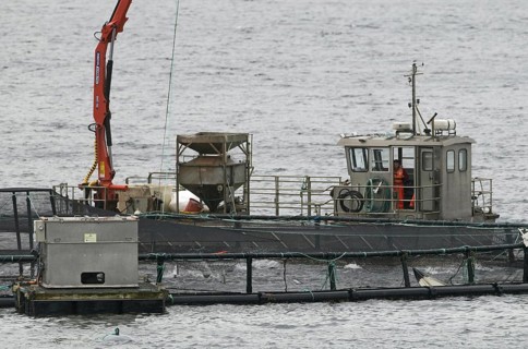 Fish farm