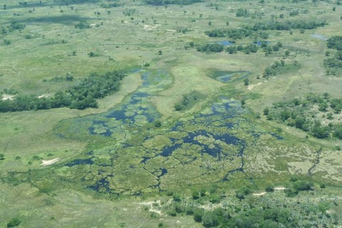 Wetlands