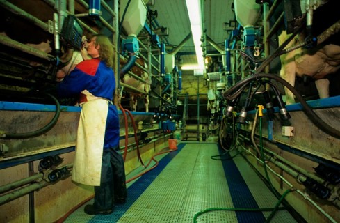 Dairy farming