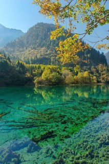 Colourful Lake