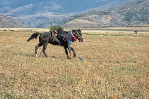 Traditional Kokpar or Buzkashi in the outskirts of Gabagly National Park