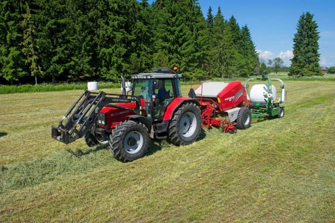 Silage crop