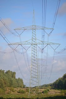 High-voltage power line in the forest aisle