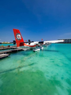 Pontoon with seaplanes