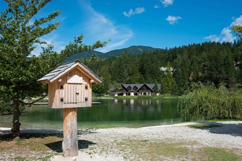 Library on the lake