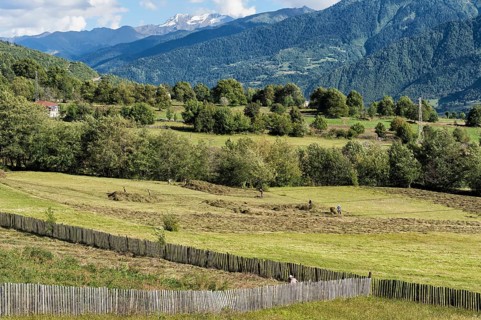 Georgian people at work in the field