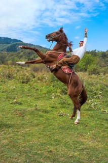 Man on a rearing horse