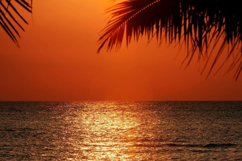 Hmmel just in front of sunset