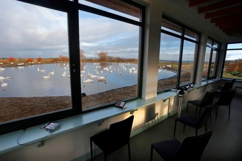 Interior of the Birdwatching Observatory with a view of the Mixed whooper swan