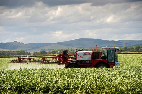 Spraying a potato