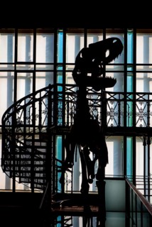 Silhouette of a dinosaur in the Dinosaur Room at the Royal Belgian Institute of Natural Sciences