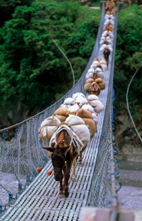 Nepal