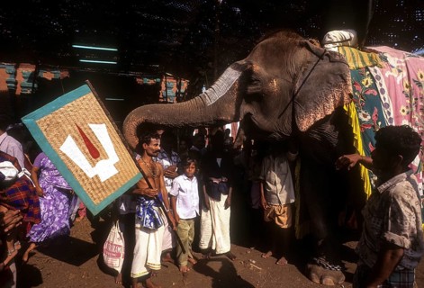 A Vaishnavite devotee blessed by a temple elephant during Chithirai or Chitra festival in Madurai
