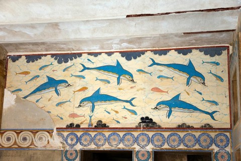 Dolphins