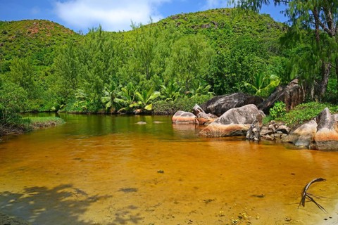 Brackish water lagoon on the beach of Anse Lazio