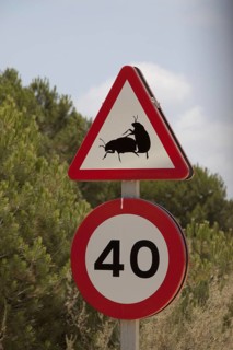 Road signs