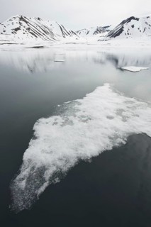 Drift ice near the coast