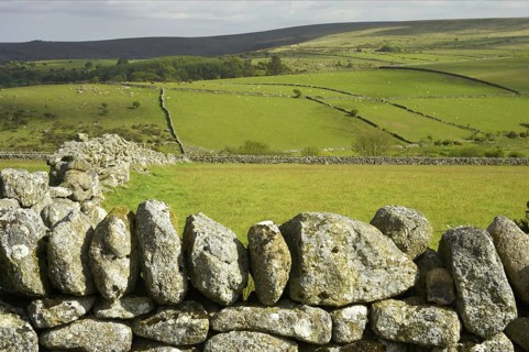 Dry stone walls and pasture in a fertile valley with hilltop moorland habitat