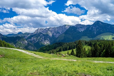 Postalm in the Salzkammergut