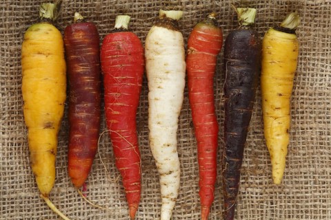 Carrots