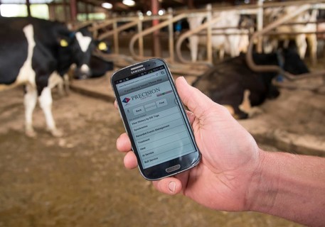 Farm management programme on a smartphone in hand