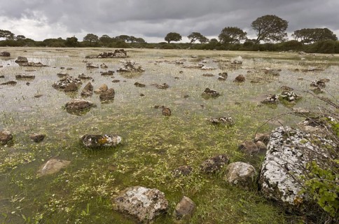 Shallow natural lake