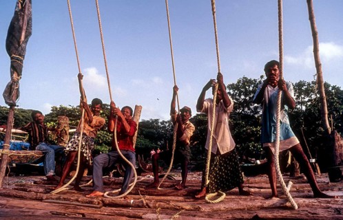 Operating the Chinese fishing nets or Cheena vala in Fort Kochi or Cochin