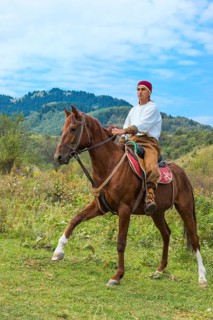 Man on horseback
