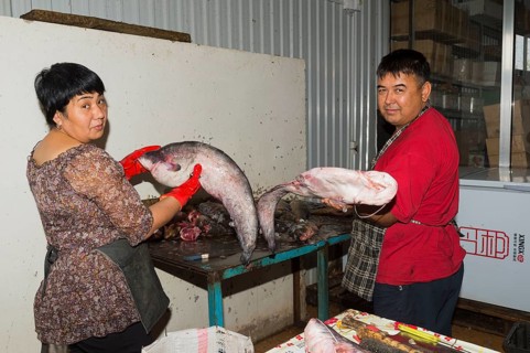 Fish stall
