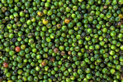 Black pepper