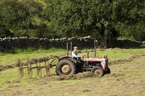 Elderly farmer in old Ferguson tractor with acrobat