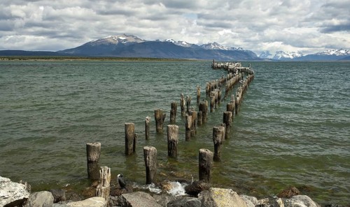 View of the coastline with remains of the breakwater and resting seabirds