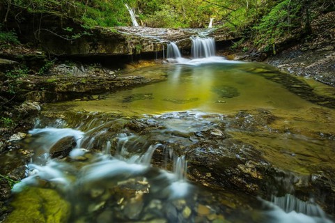 View of river habitat in the forest