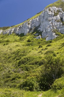 Chalk coastal foreshore with scrub habitat