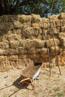 Ladder in front of a haystack