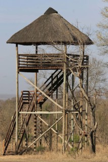 Safari Lookout Tower