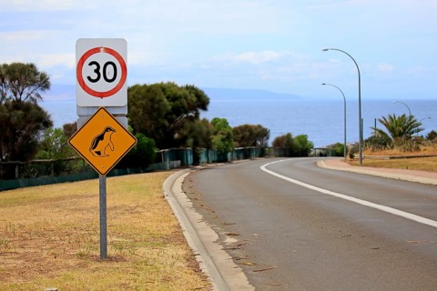 Traffic sign